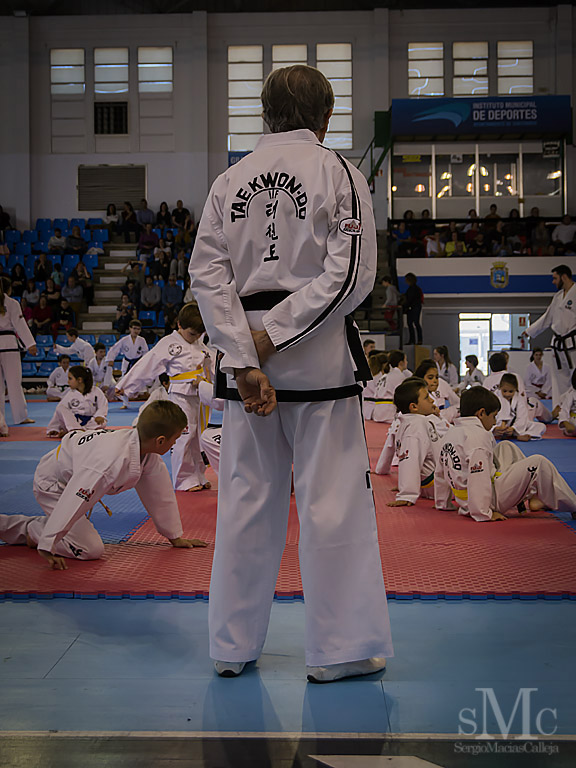 DIA DEL TAEKWONDO ABRIL 2017_3648.JPG